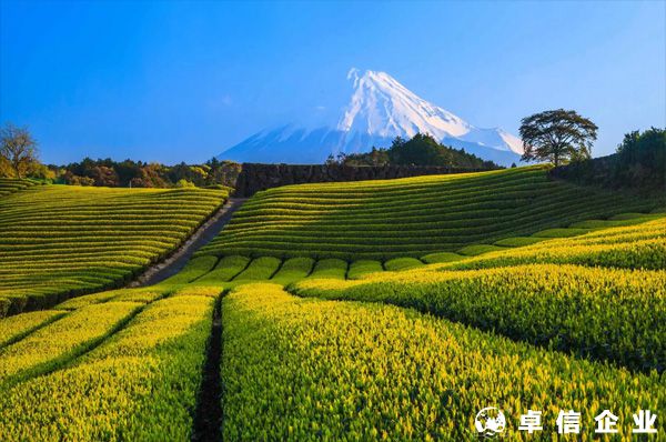 如何寫日本注冊(cè)公司的經(jīng)營(yíng)范圍？