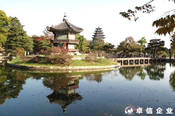 通常韓國公司被稅務(wù)調(diào)查的原因是什么？